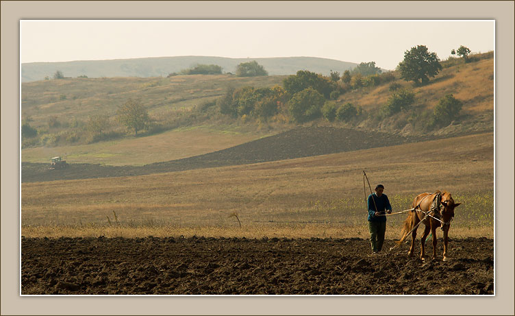 Поле... www.stockaphoto.com