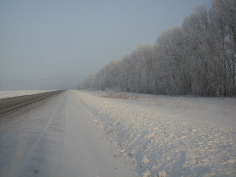 Дорога в Томск 