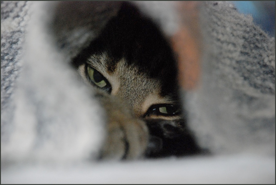 *under the covers* 