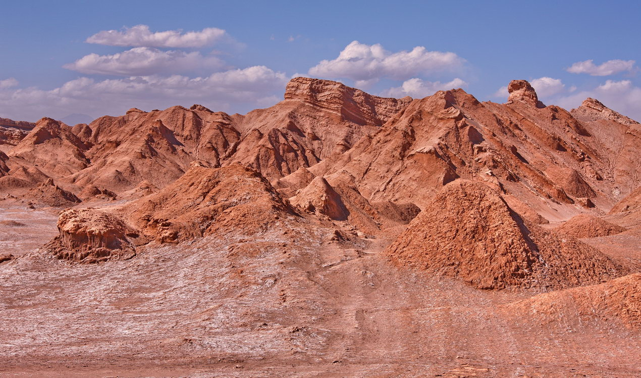 Каменистость 