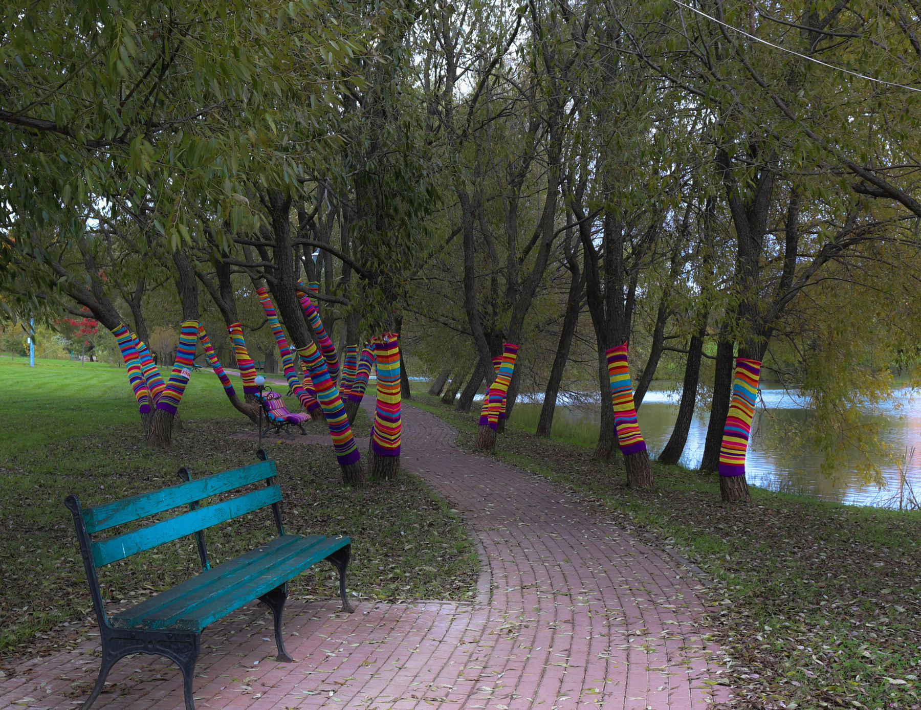 Носочки парк