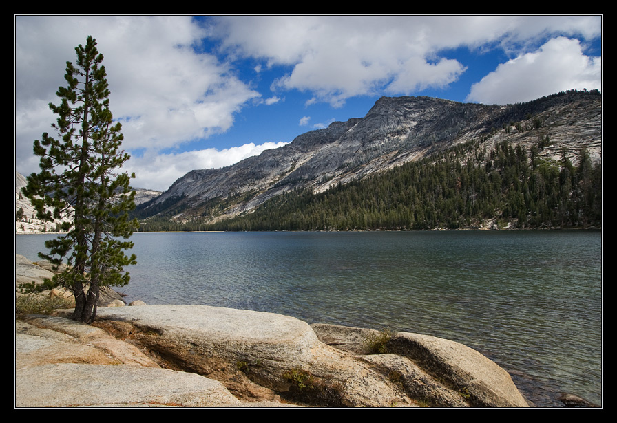 Tenaya Lake 