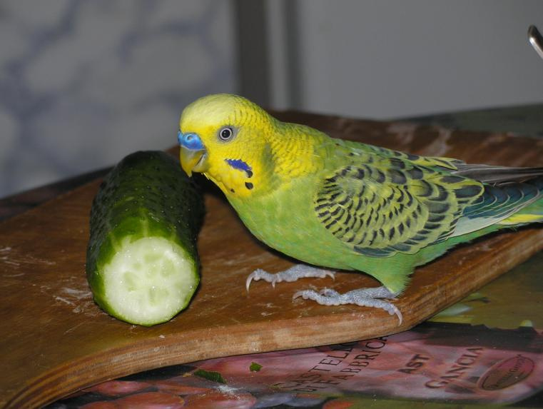 Зелёненькие 