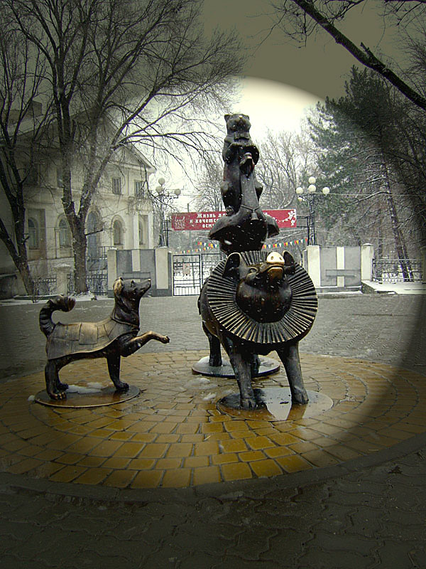 На арене 