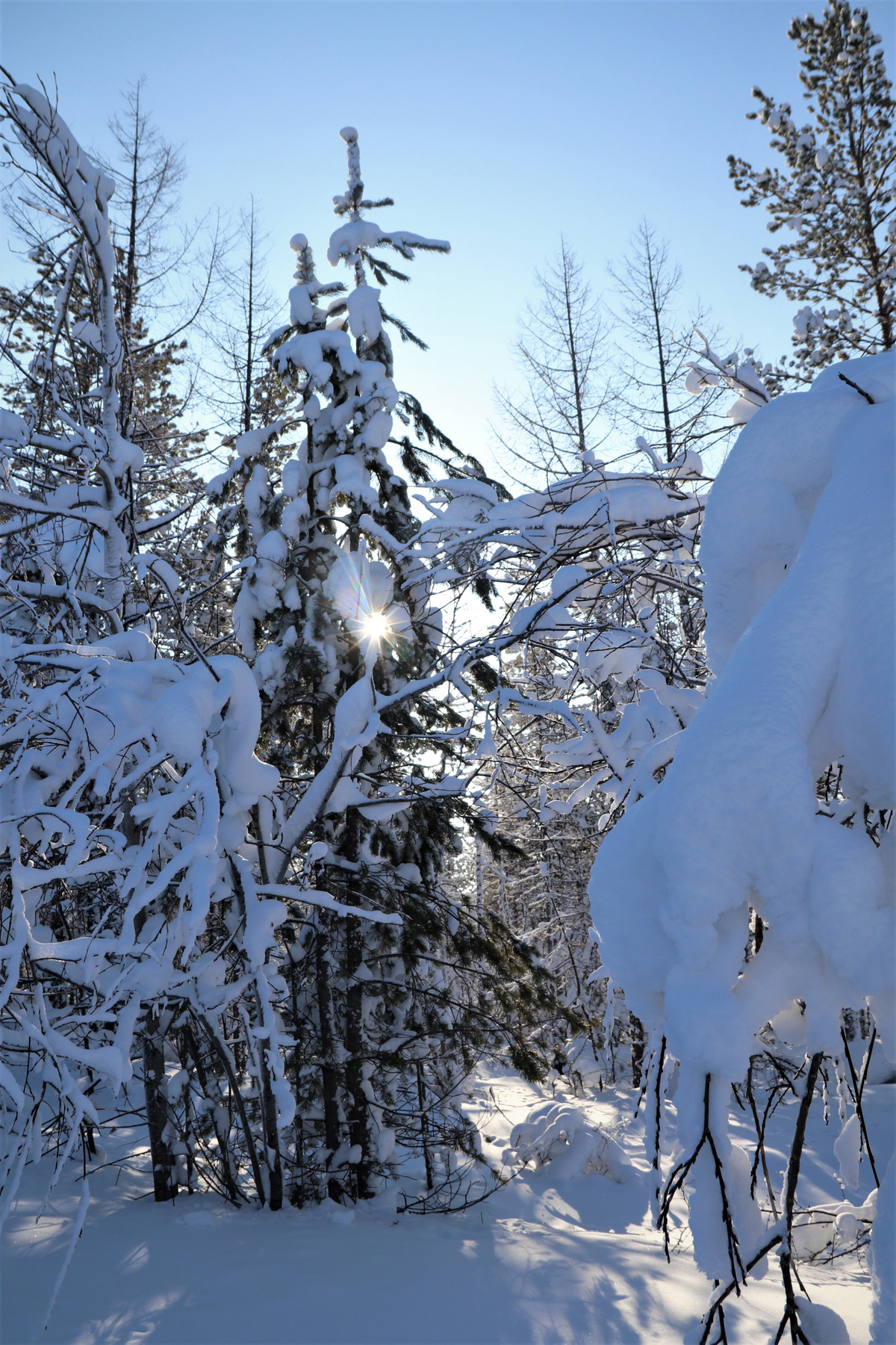 луч солнца 