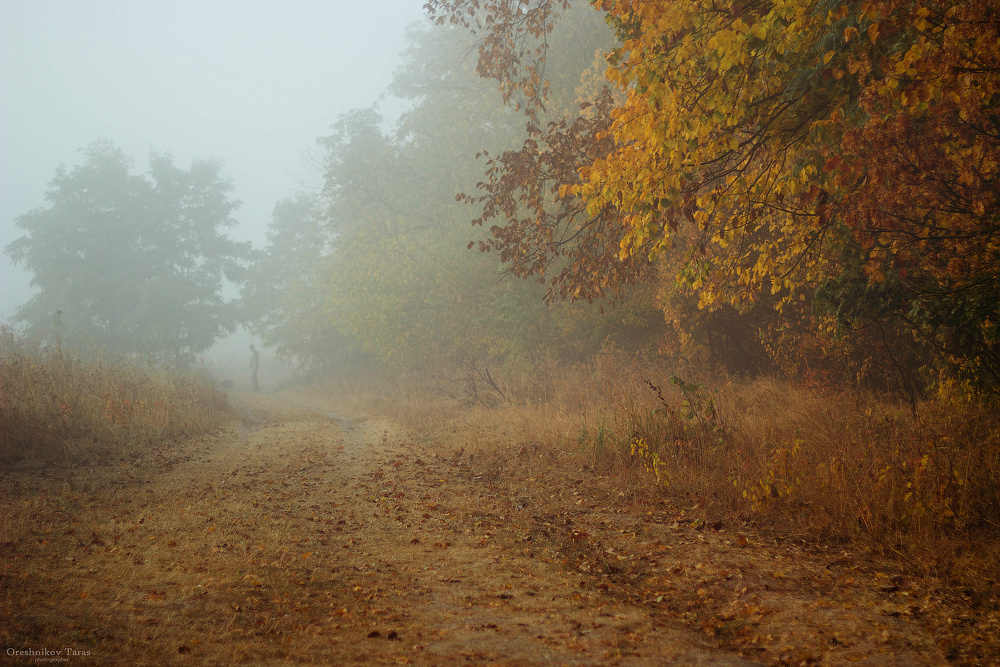 *** природа пейзаж осень