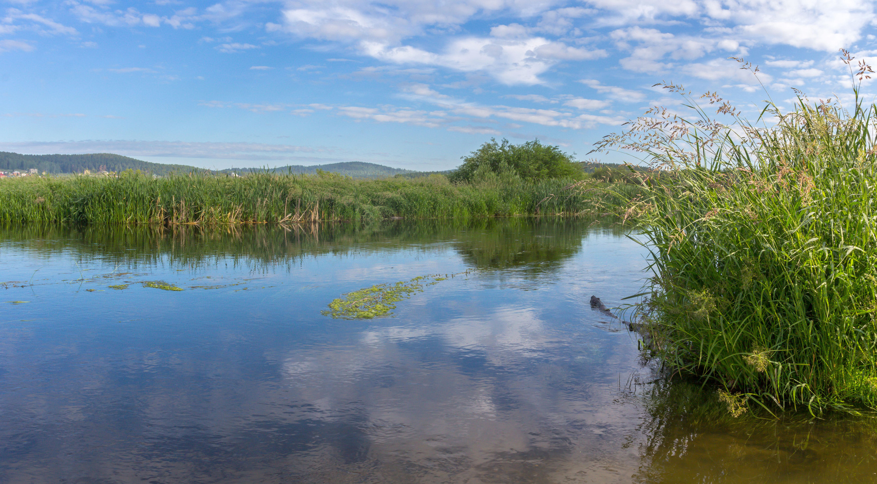 Летнее утро на реке Миасс. г. Миасс, Машгородок (панорама). Южный Урал Миасс Машгородок Природа Лето