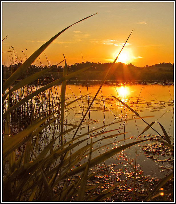 Один летний рассвет рассвет восход река Луга лето июнь солнце берег вода