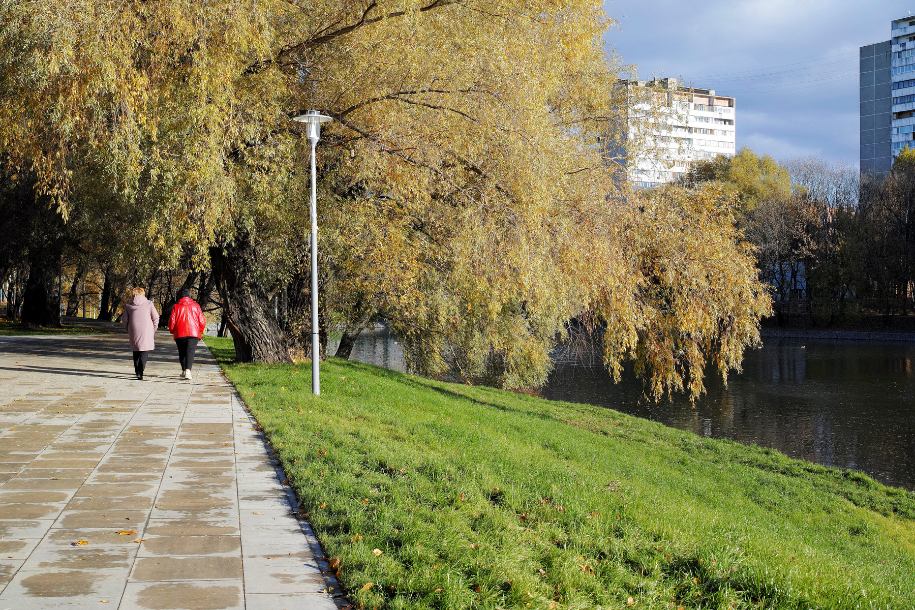 Осень город Москва стадион Москвич парк