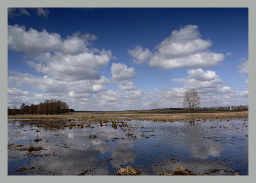 Весеняя Украина, Чернигов, Полесье, весна