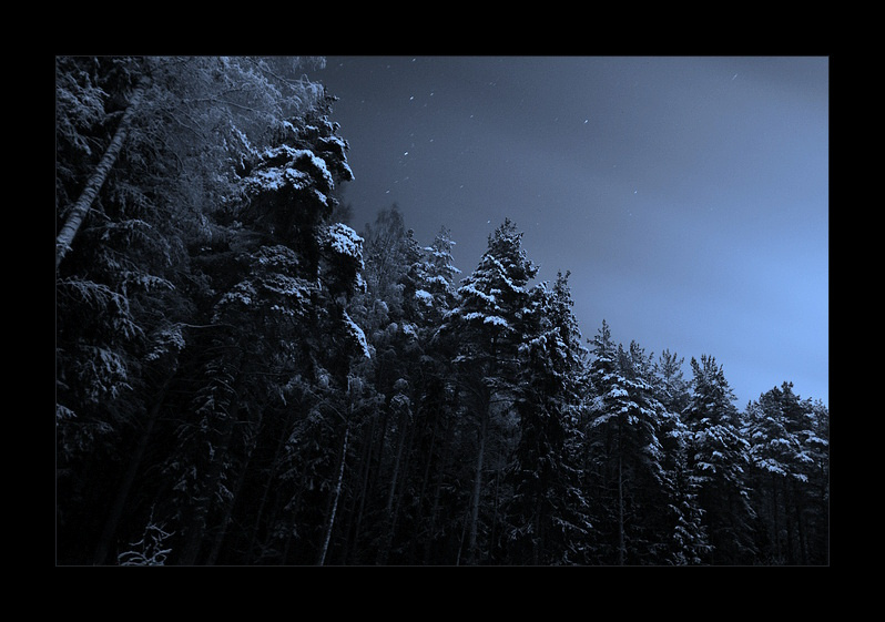 den glanz des winters 