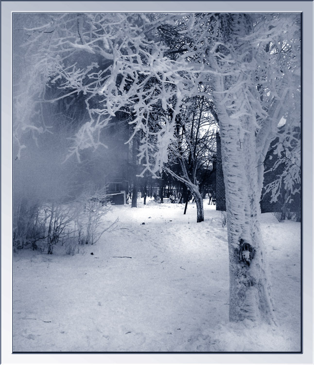last echos winter, snow, light, shadow, darkness
