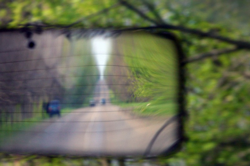 The mirror 