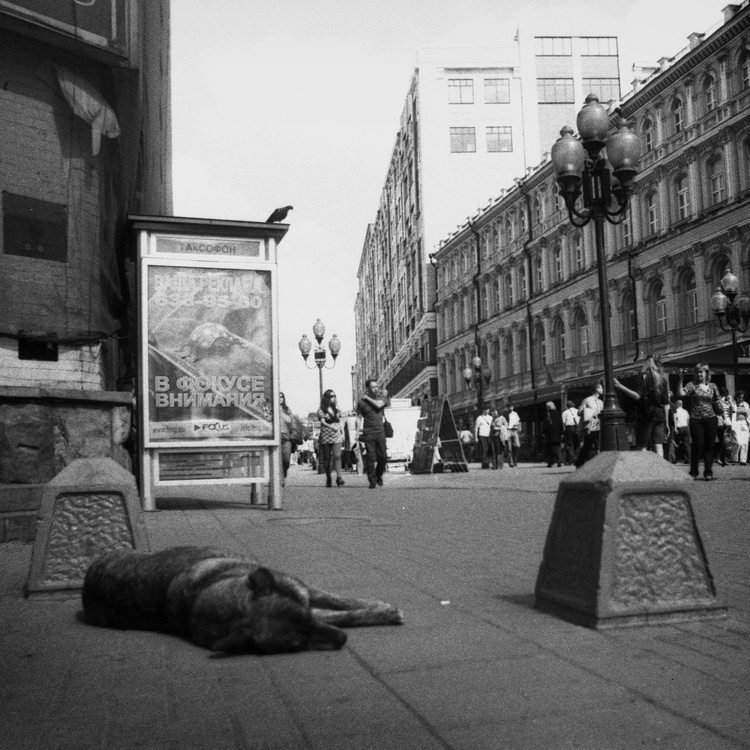фокус 
