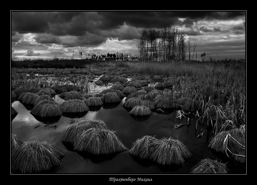 THE DARK WATER 
