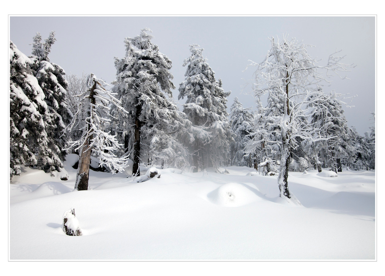 Harz Brocken (Harz)