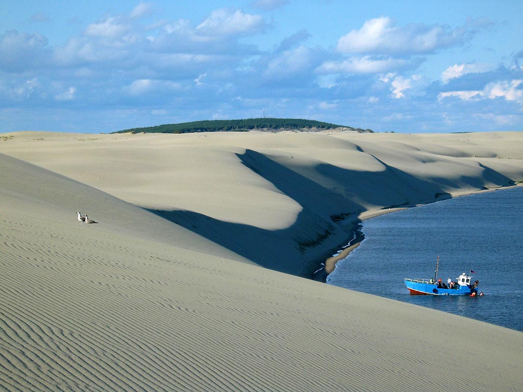 Дюны на Куршской косе Балтийское море Куршская коса дюны
