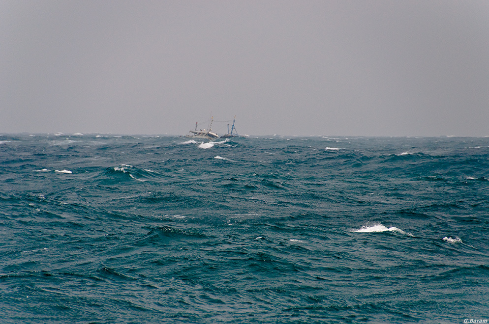 Ловить рыбу Море шторм шхуна