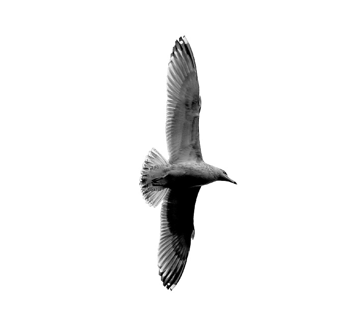 b/w 