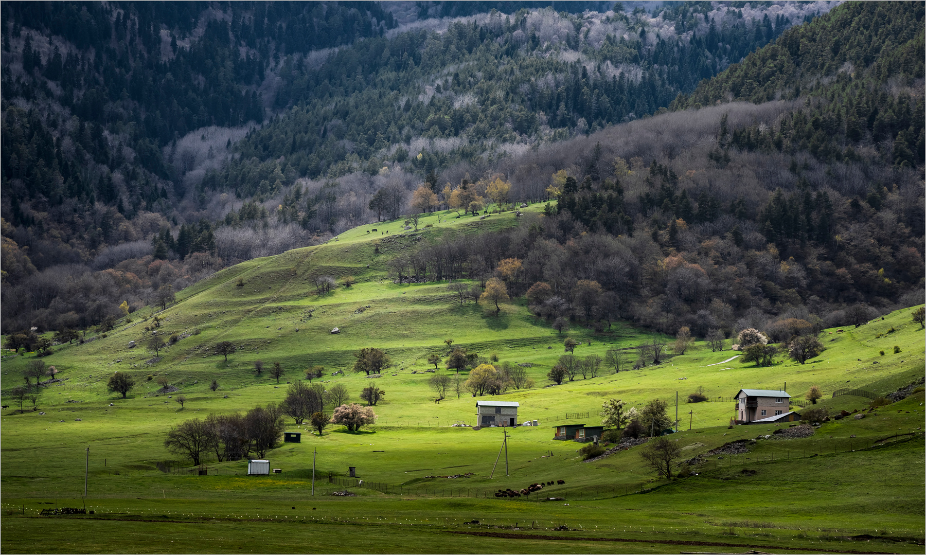 Предгорье Кавказа природа горы