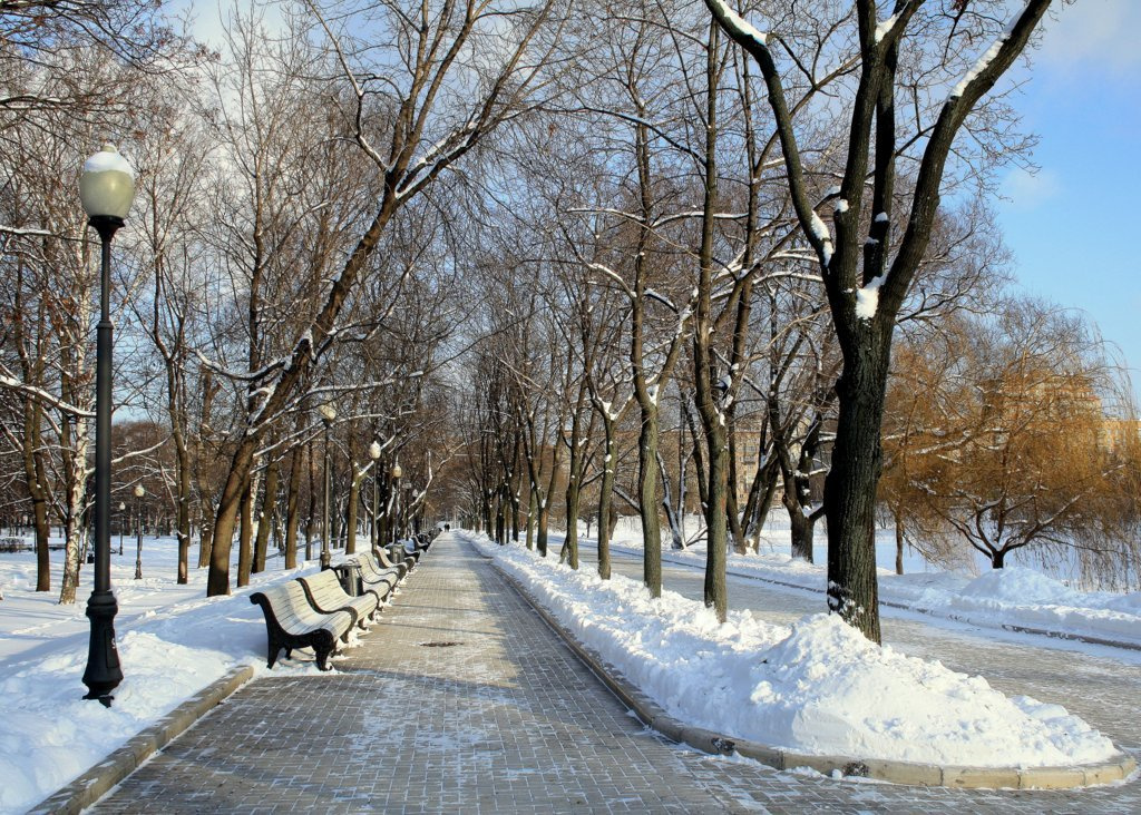Морозная аллея москва, зима