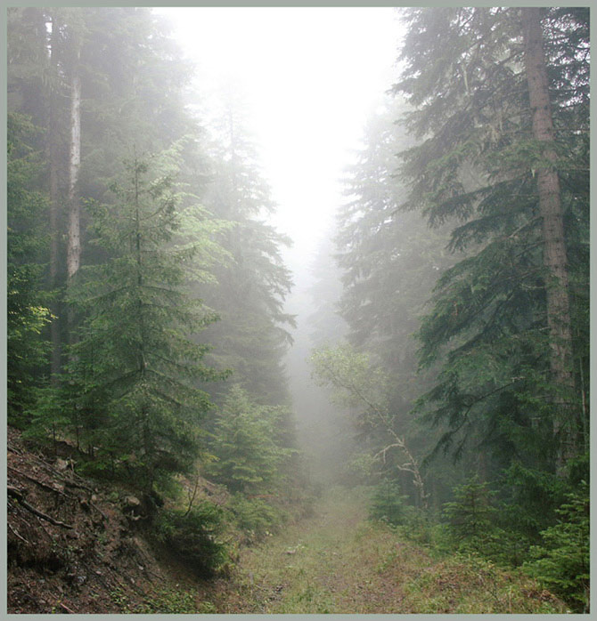 Дамхурц. Утро туманное... Дамхурц, горы, туман, девушка, река