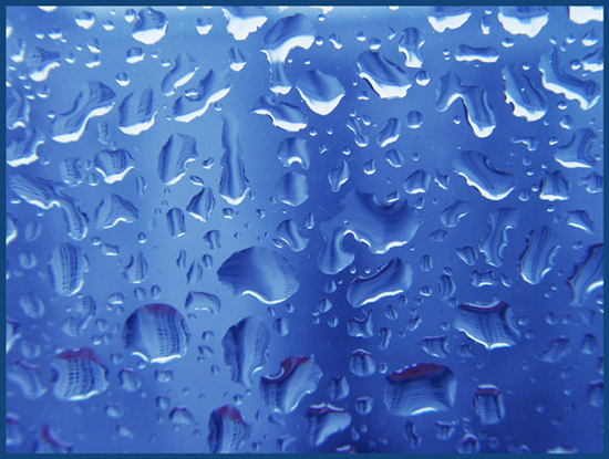 World in  the drop of water 