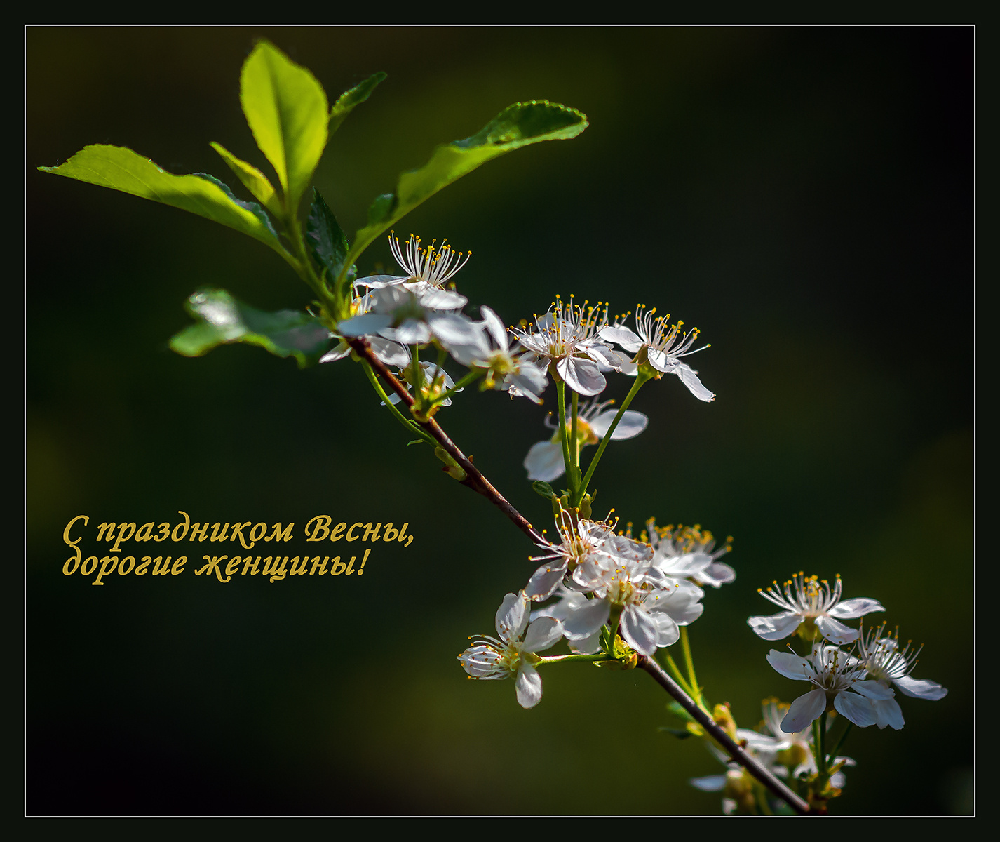 С праздником! 
