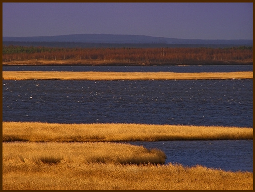 ... Белое море