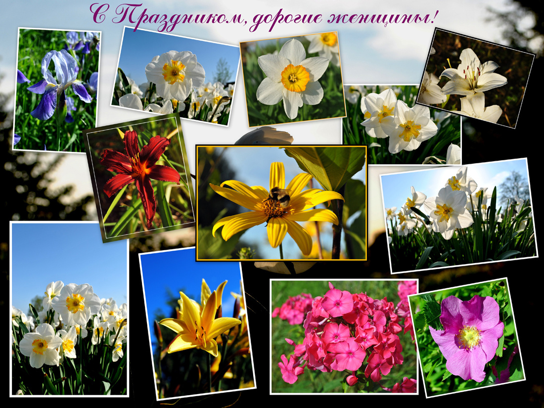 Двенадцать ярких мгновений 