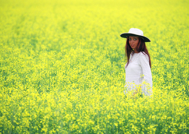 Glamour on the field girl, glamour, field, summer, yellow, erotic, eyes