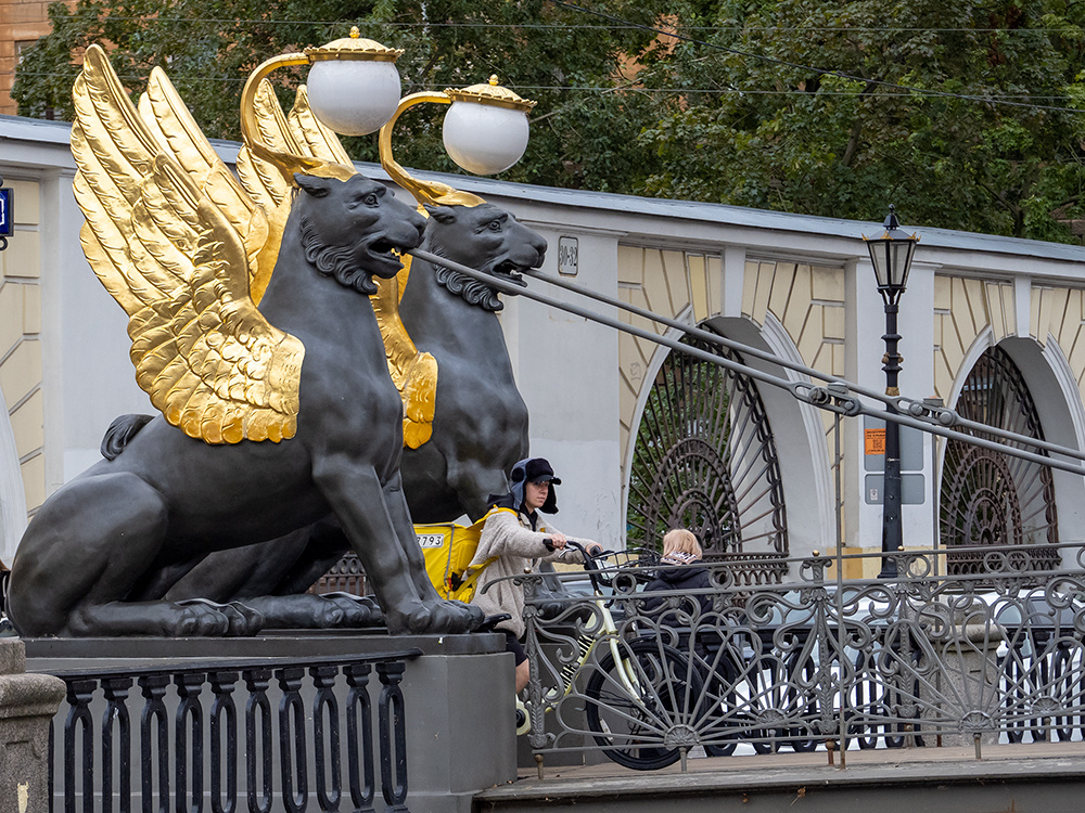 Крылатая доставка 