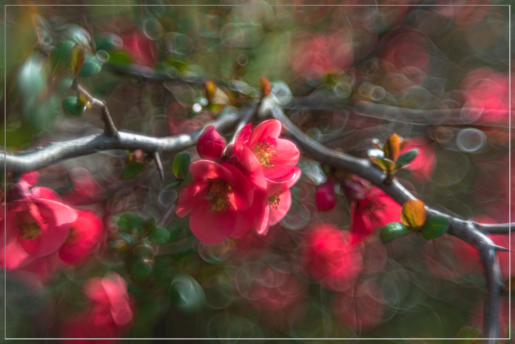 Весна природа