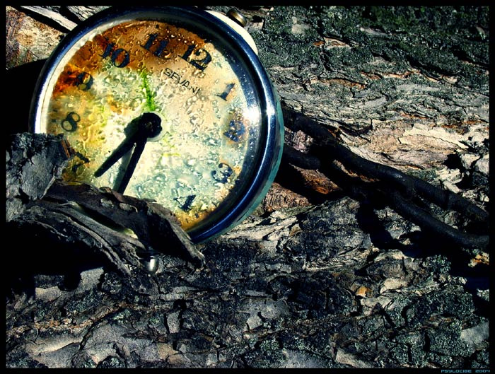 О потерянном времени clock