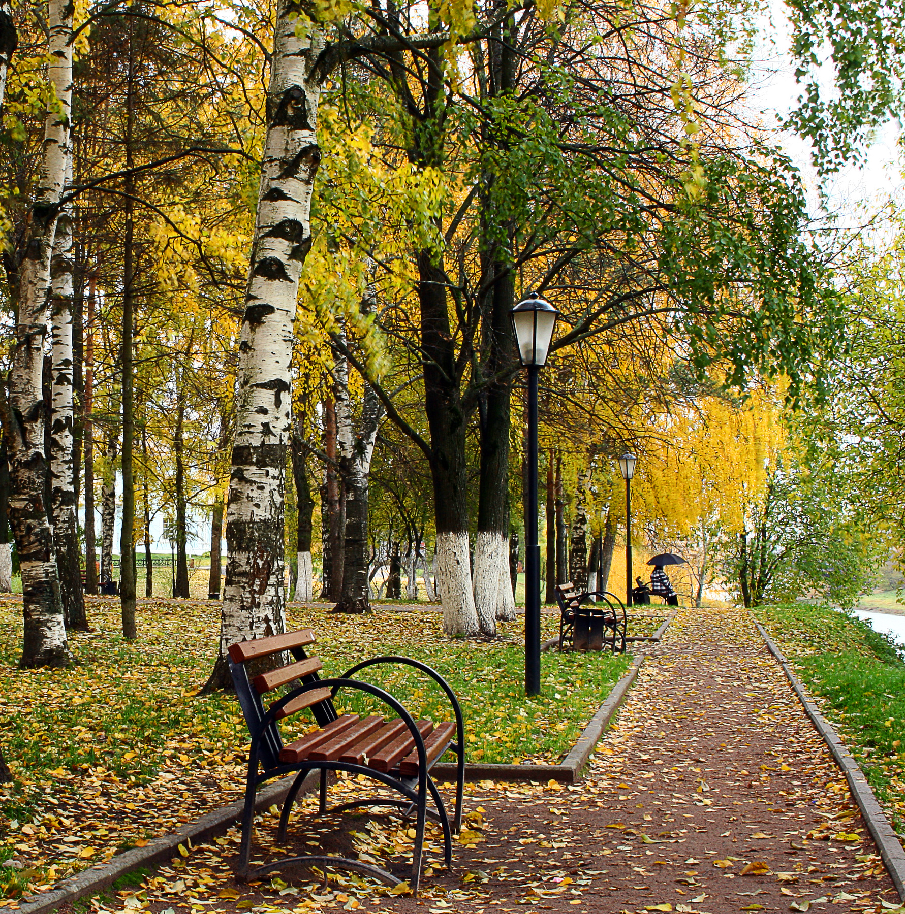 осень,,,,осень осень