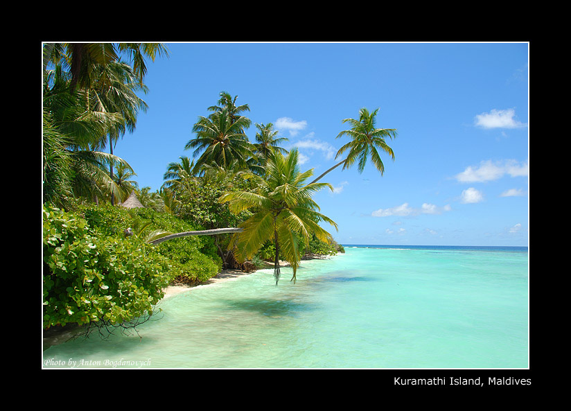 Blue Lagoon Мальдивы, Пальмы, Лагуна, Maldives