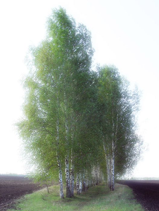 Акварель 