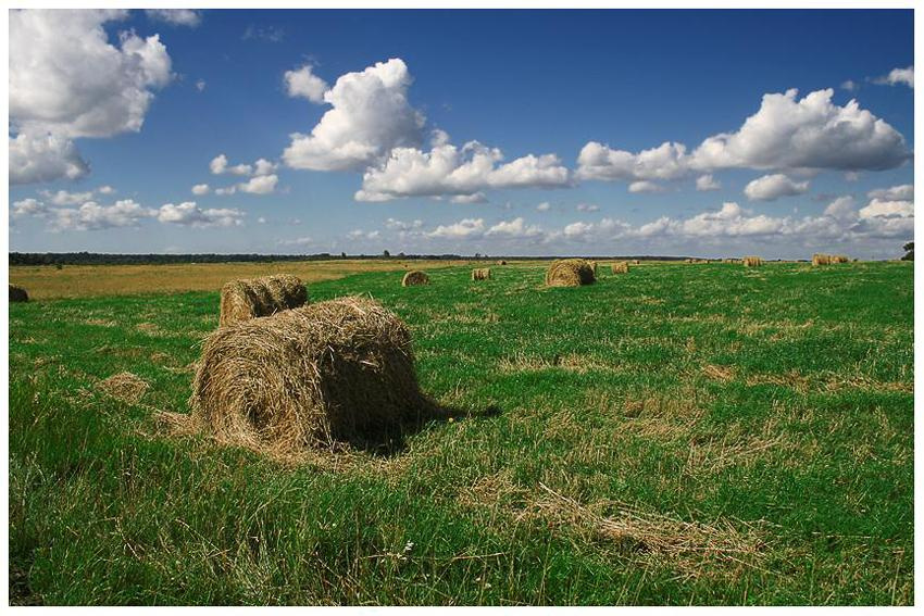 Just a field 