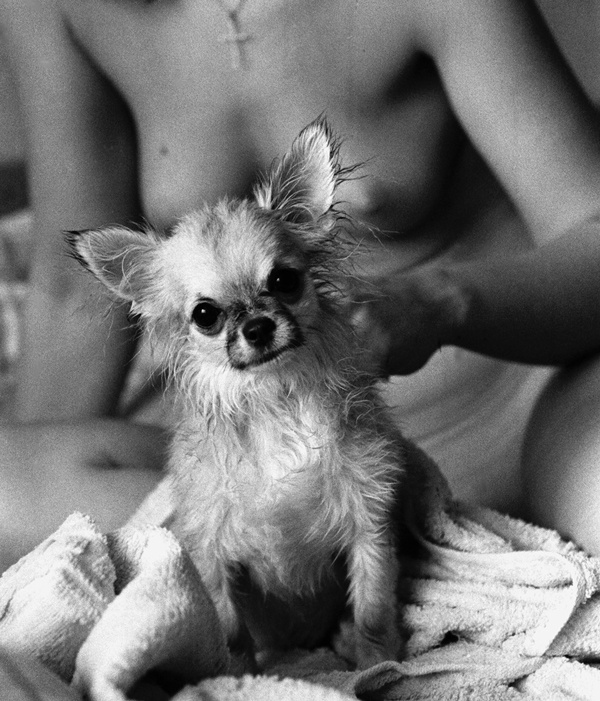 банный день Юпитер-9 , Ilford HP5+