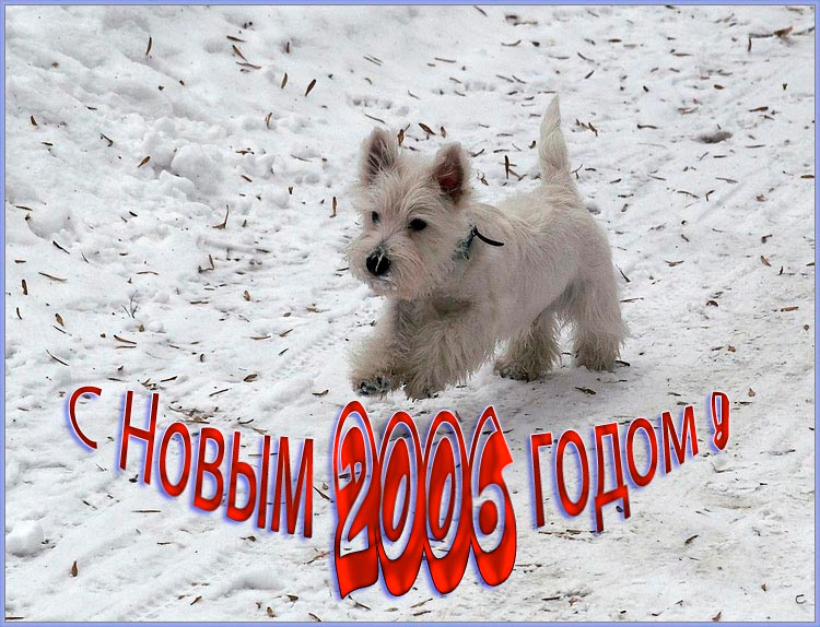 С Новым 2006 Годом 