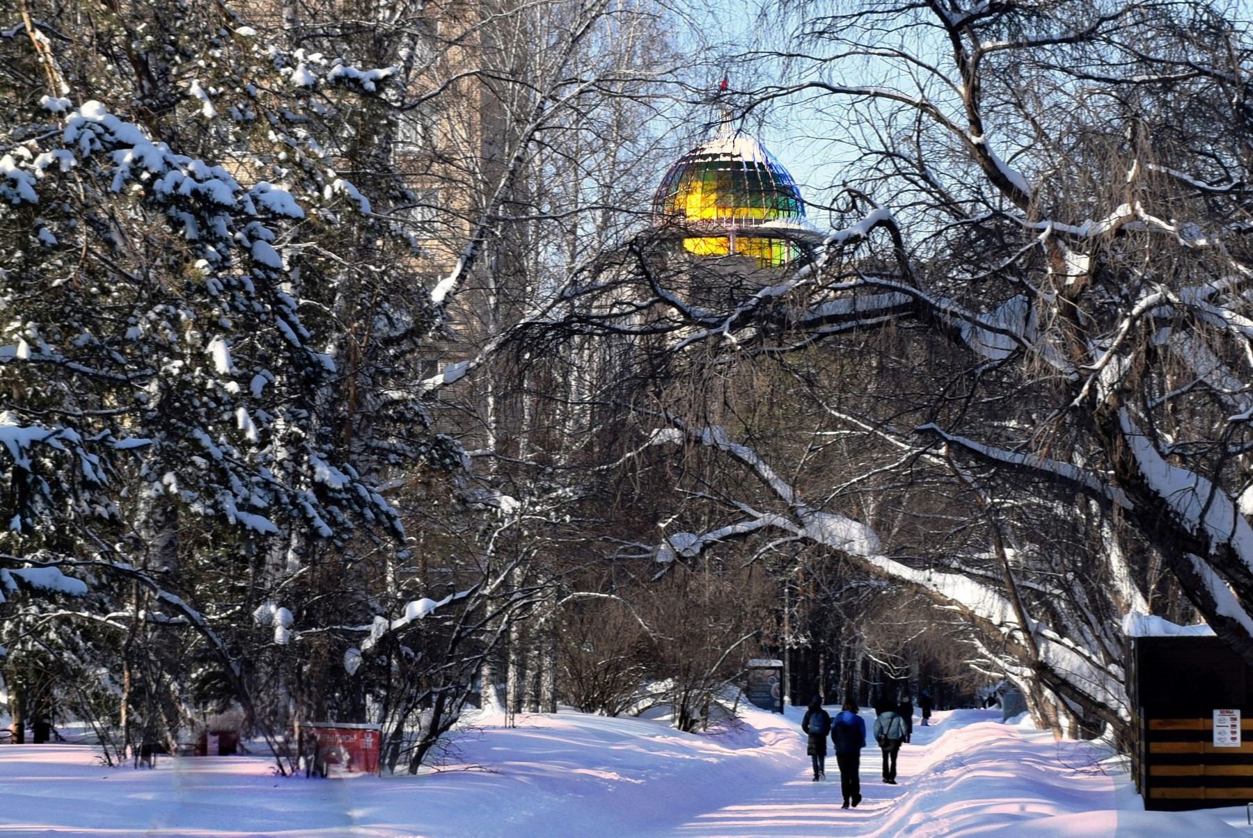Зимний Академгородок. 