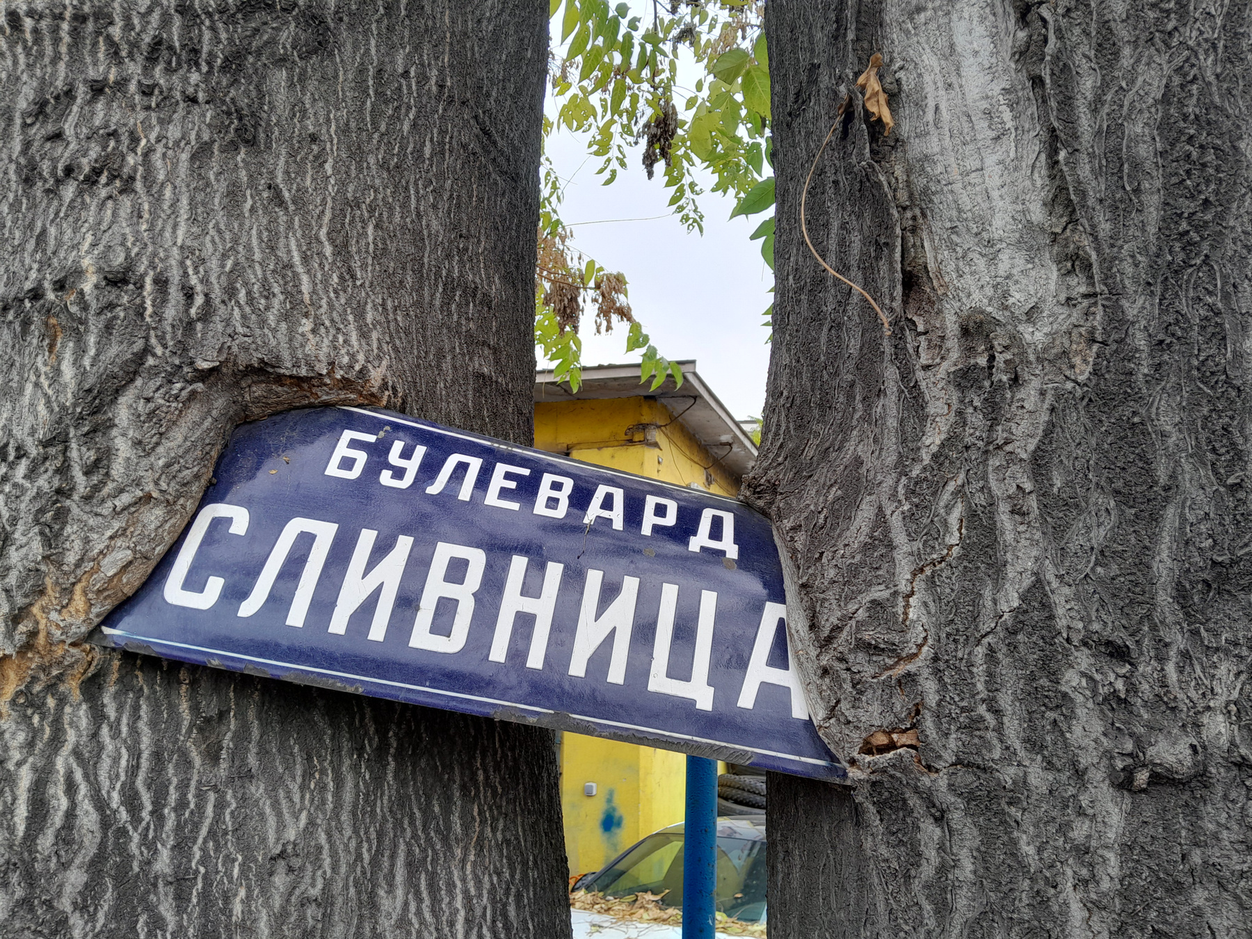 Осень 2025 Природа