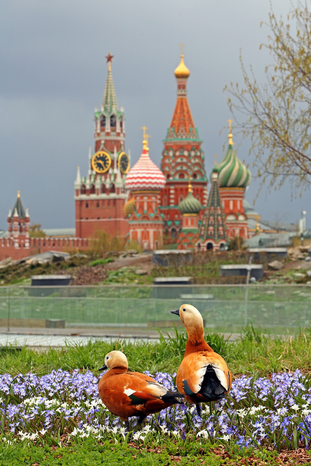 Зарядье 