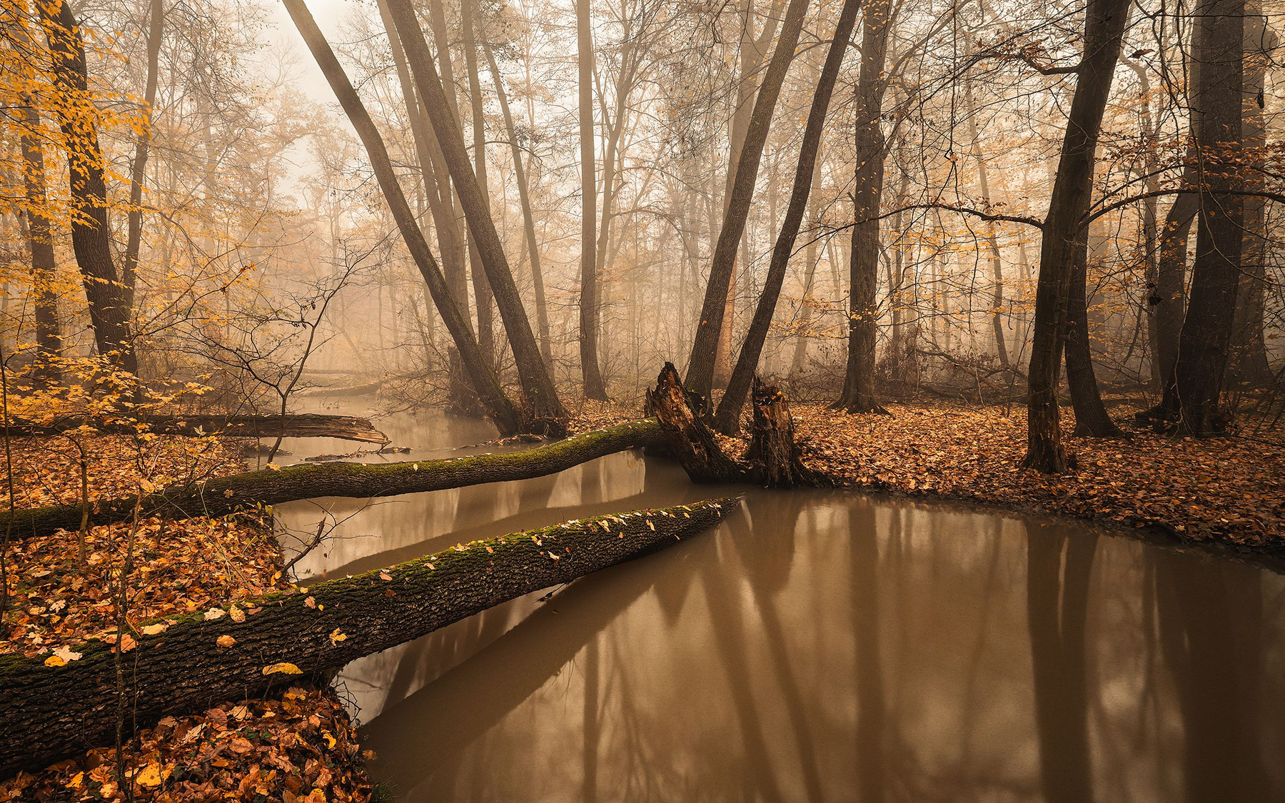 Autumn 