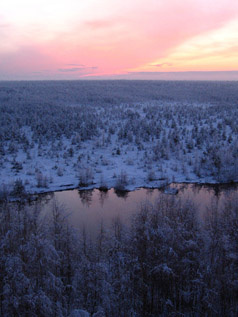 winter 
