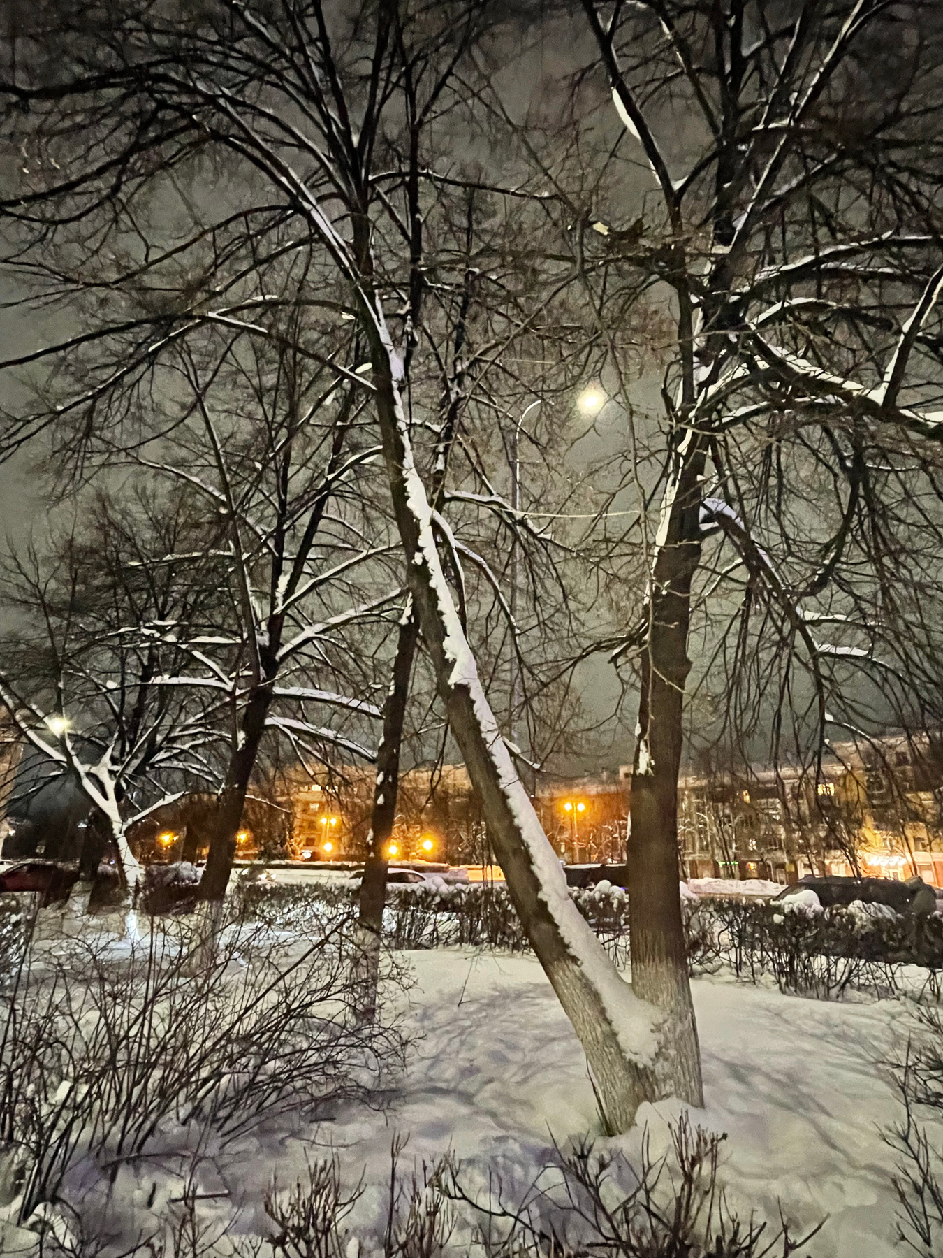 Зимний вечер в городе К. 