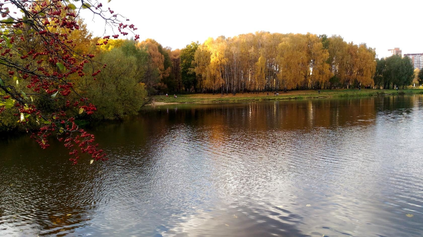 Золотая осень 