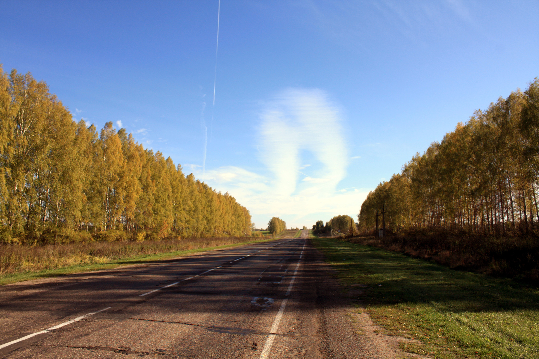 Дорога дорога, осень