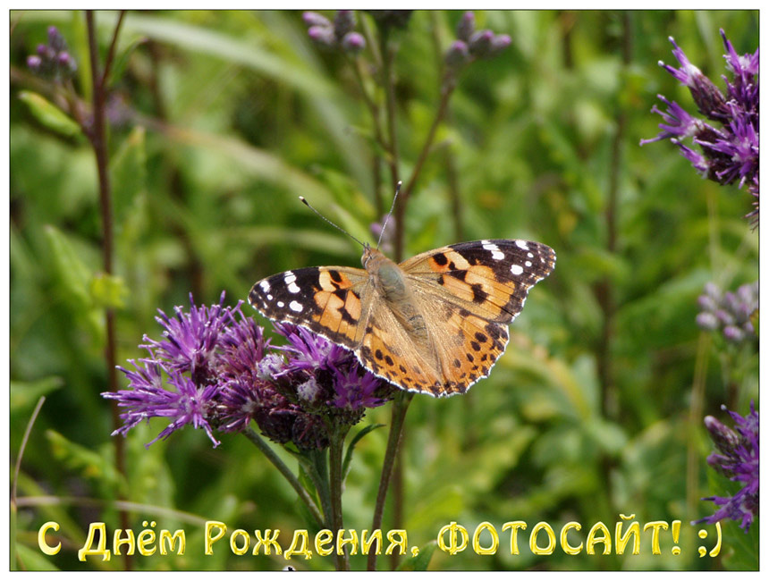 С Днём Рождения, Фотосайт! С Днём Рождения Фотосайт