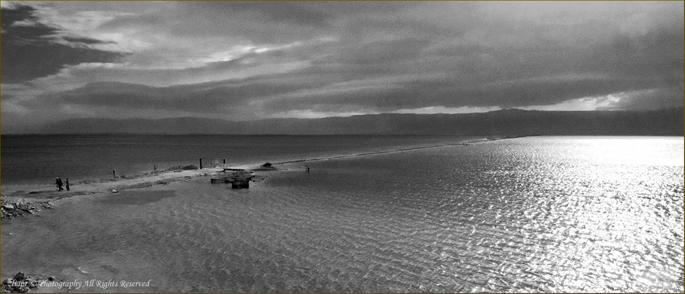 dead sea 